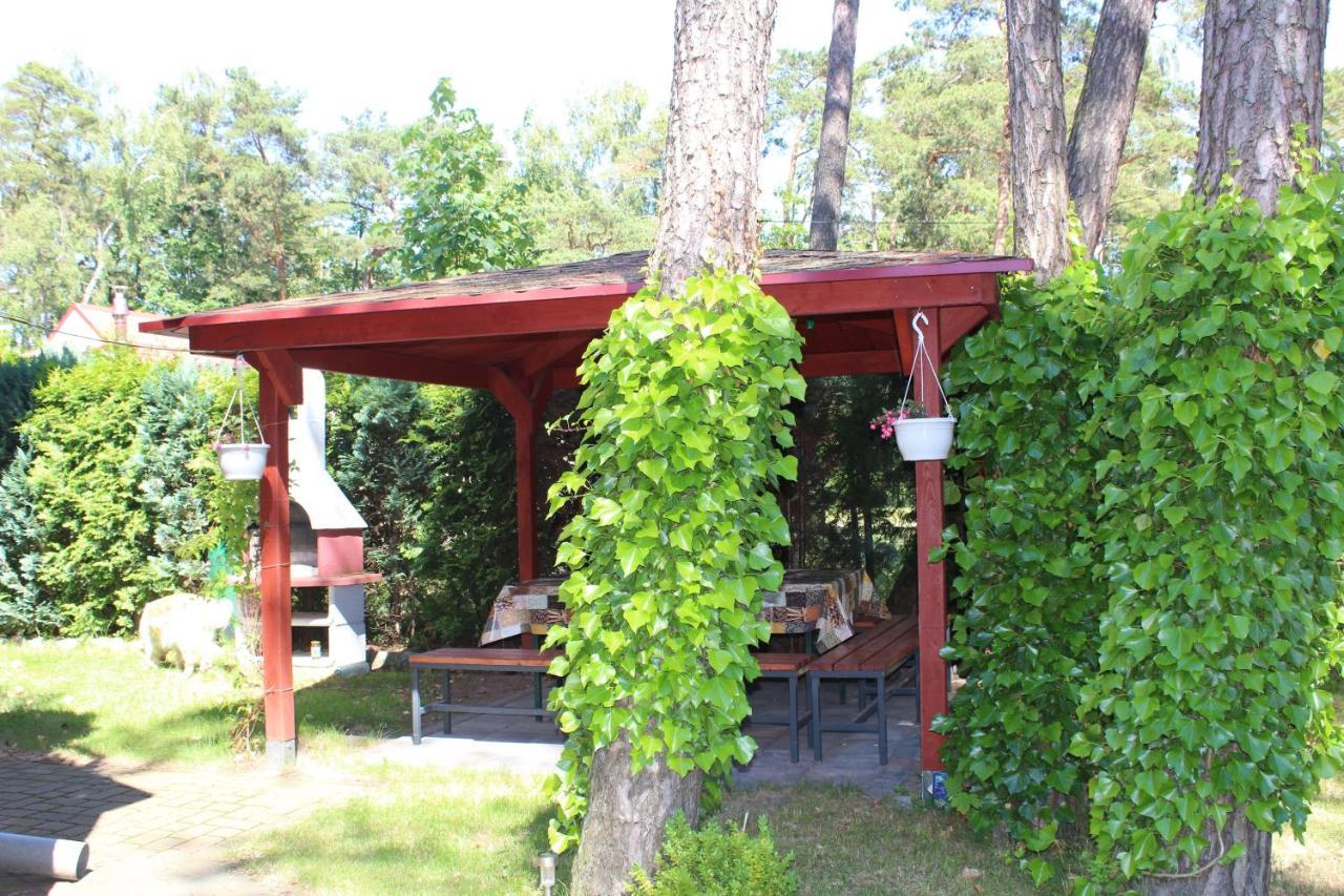 Dom Pod Sosnami Bed and Breakfast Mielno  Εξωτερικό φωτογραφία